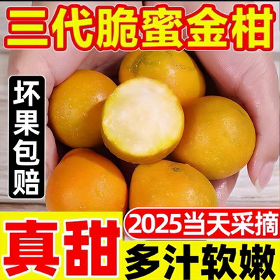 正宗第三代脆蜜金柑金桔独立包装