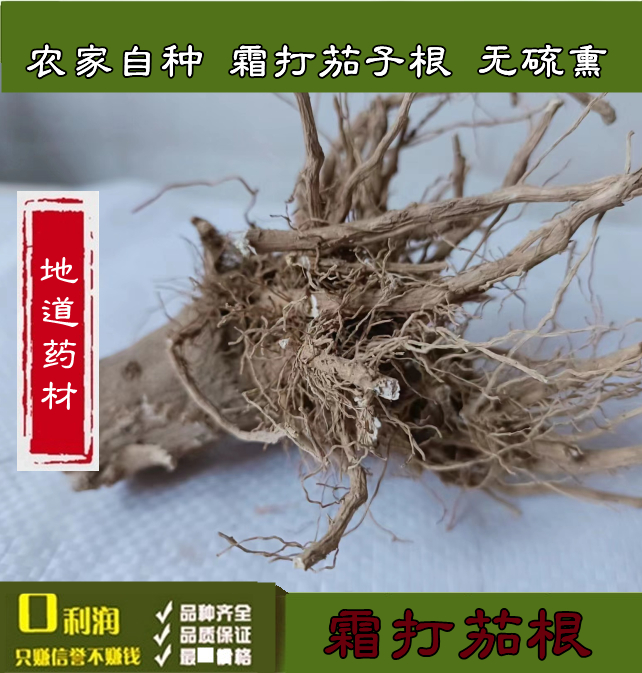 霜打紫茄根 茄杆根 茄子颗茄子根茄子秧冻手脚脸耳朵500克包邮