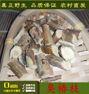 野生椿枝 椿树皮 臭椿 臭椿枝 椿树枝 新鲜干品樗树茎干500克包