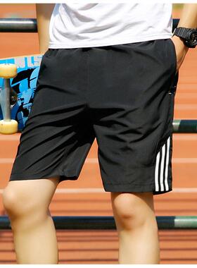 Mens Summer sports Bermuda Gym Fitness Men Tights Shorts短裤