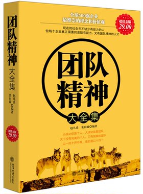 正版包邮 团队精神大全集 带人员工激励招聘绩效考核薪酬设计匠人马云华为狼性培训正能量的经营管理学类畅销书籍cz