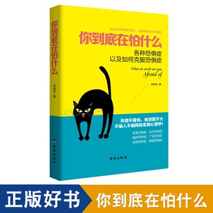 你到底在怕什么 正版 包邮 心理医生自控力社会心理学畅销书籍dm 九型人格社交恐惧症如何克服心理恐惧人际交往做自己