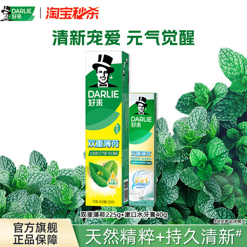 好来双重薄荷牙膏清新口气家庭装