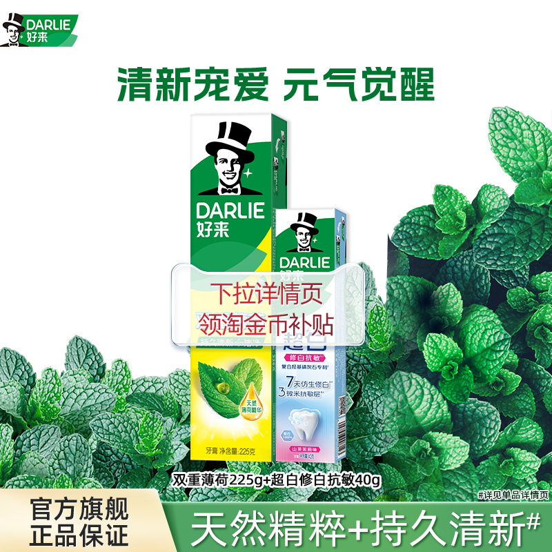 好来双重薄荷牙膏清新口气家庭装