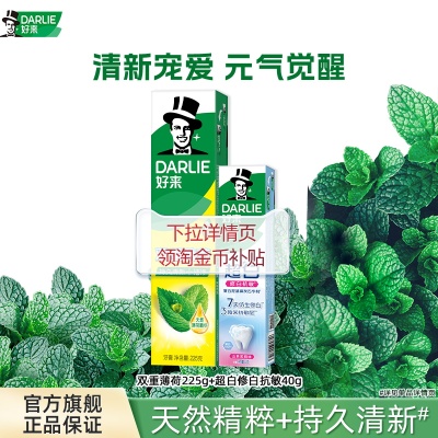 好来双重薄荷牙膏清新口气家庭装