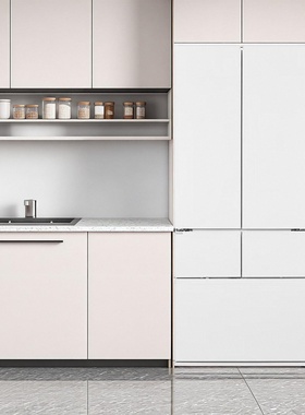 Panasonic/松下 NR-W472BX-W/EW46BXB/D531TG/EW46TGB零嵌入冰箱