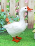 Моделирование модели гуся клетки Большой белый гус