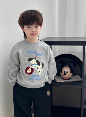 英国KABEI TREE男童卫衣2026新款春秋季宝宝加绒上衣休闲百搭