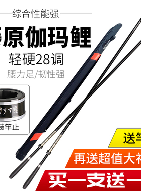 藤原伽玛鲤鱼竿手竿台钓竿超轻超硬28调手杆钓竿买一送一渔具套装