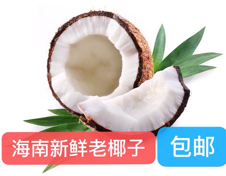 老椰子个装海南吸管去皮鸡汤榨汁