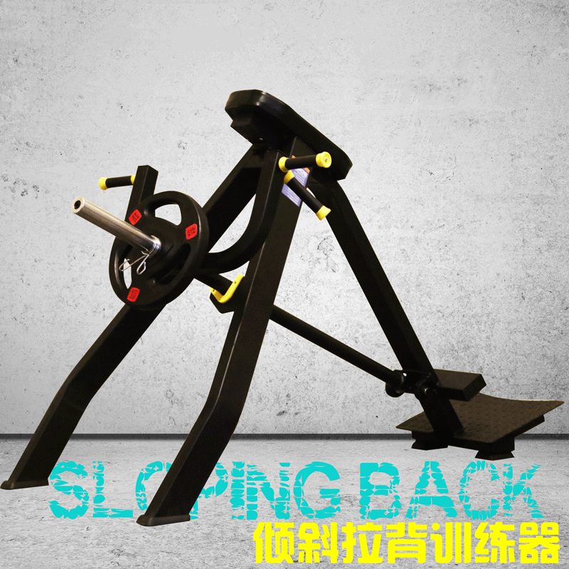 韦步室内健身器材 健身房 拉背肌训练器 倾斜拉背 商用力量器材