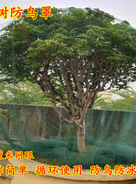 绿色防鸟网罩樱桃果树嘉宝果定制专用防护罩农业养殖种植家庭防雹