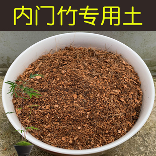 内门竹专用土配方营养土盆栽内门竹土酸性土家用种植土壤花泥花肥