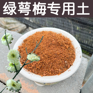 绿萼梅土酸性透气透水配方营养土专用土盆栽型花卉种植土花泥花肥