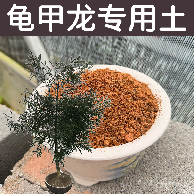 龟甲龙土配方营养土透气顺丰包邮