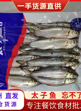 太子鱼小忘不了鱼苏丹鱼