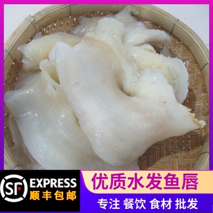 顺丰包邮优质水发鱼唇佛跳墙煲汤扣煮鱼肚鱼胶酒店化非即食盘菜料
