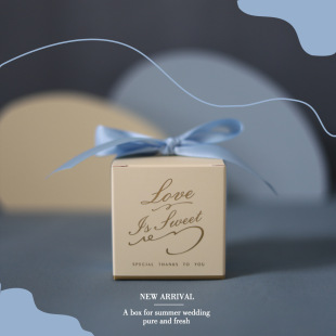 蓝色喜糖盒小清新伴手礼纸盒蝴蝶结ins风结婚生日礼物盒 2025新款