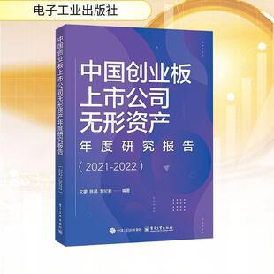 中国创业板上市公司无形资产年度研究报告:2021-2022文豪 管理书籍