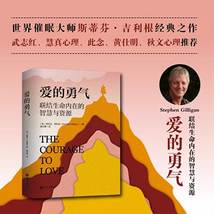 爱的勇气 联结生命内在的智慧与资源 斯蒂芬·吉利根阐释自我关系身心治疗法心理学 武志红 被拒绝被讨厌的勇气正能量励志书籍