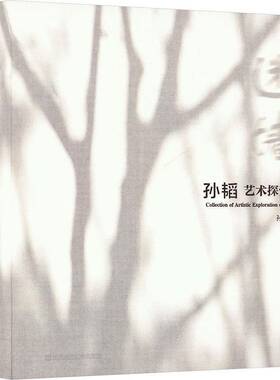 迷墙:孙韬艺术探索集孙韬 艺术书籍