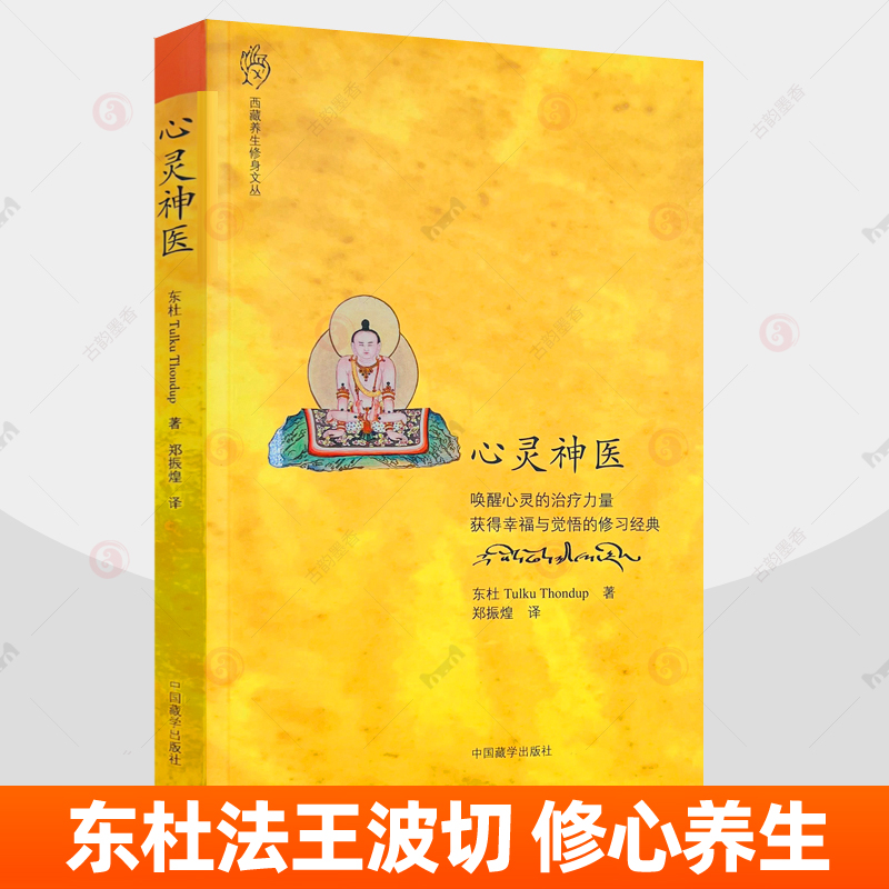 心灵神医 东杜 唤醒心灵的治疗力量 获得幸福与觉悟修习经典佛教心灵疗法止观禅修佛教东杜法王仁波切 著 郑振煌译 中国藏学出版社