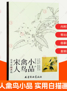 宋人禽鸟小品 实用白描画稿放大版李晓明绘 工笔禽鸟画技法步骤详解国画工笔花鸟画底稿画稿临摹画册范本画谱书籍 天津杨柳青画社