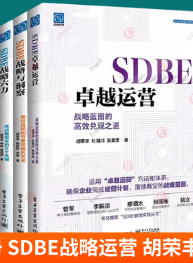 4册胡荣丰 SDBE战略六力 将战略做实的6个关键 战略与洞察 路径选择和节奏把握的艺术企业活力机制 卓越运营 战略蓝图的高效兑现书