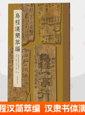 乌程汉简萃编 精萃版 汉简高清图版 精选110余件乌程汉简篆隶草高清图版文献内容简牍 上海书画出版社 9787547933510 汉简书籍