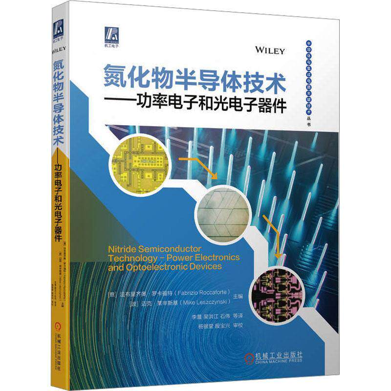 氮化物半导体技术率电子和光电子器件:power electronics and optoelectronic devices法布里齐奥·罗卡福特 工业技术书籍