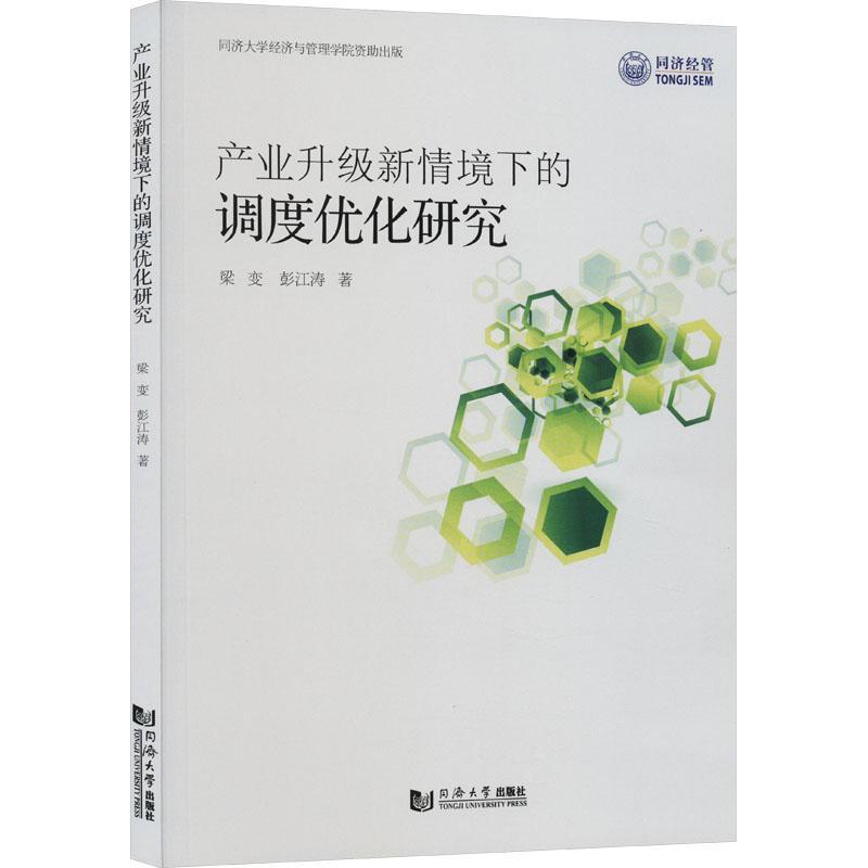 正版产业升级新情境下的调度优化研究梁变经济书籍