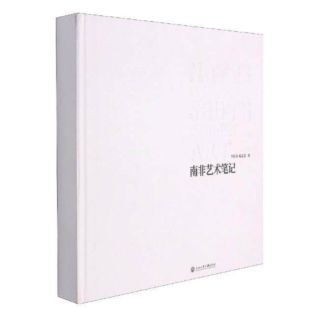 南非艺术笔记书李舒弟艺术研究南非普通大众艺术书籍