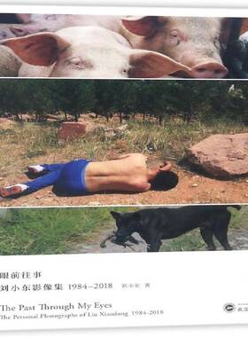 眼前往事:刘小东影像集1984-2018:the personal photographs of Liu Xiaodong 1984-2018刘小东摄影集中国现代艺术书籍