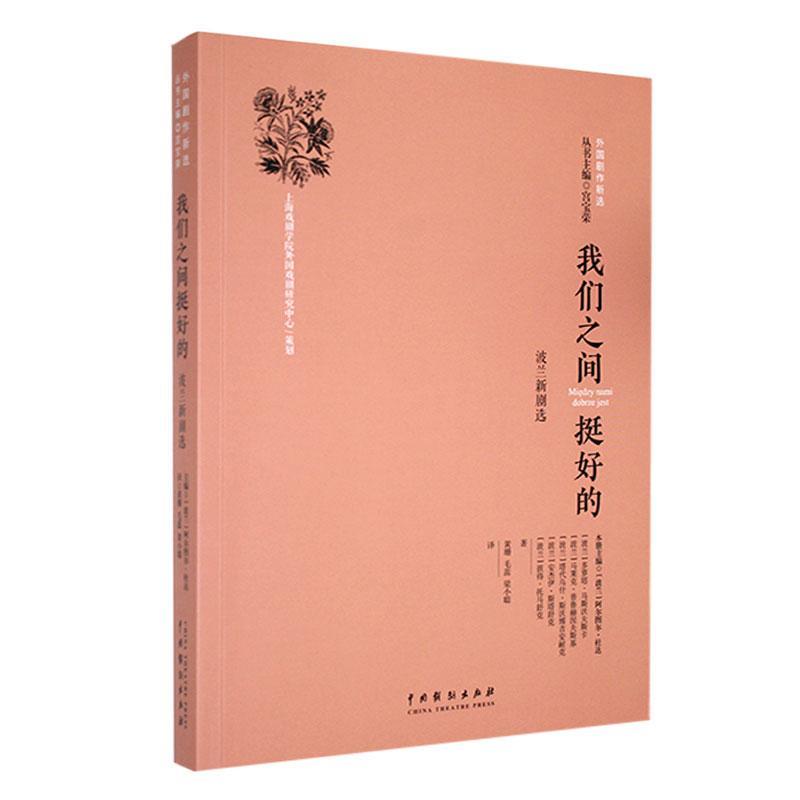 我们之间挺好的:波兰新剧选阿尔图尔·杜达 文学书籍