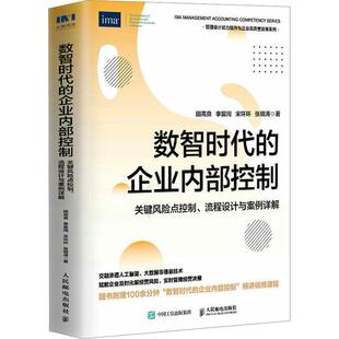 流程设计与案例详解田高良 正版 关键风险点控制 企业内部控制 管理书籍 数智时代