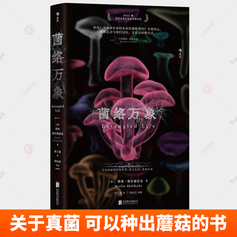 菌络万象 默林·谢尔德雷克 关于真菌 可以种出蘑菇的书 真菌手绘插图 科学图书奖正版书籍