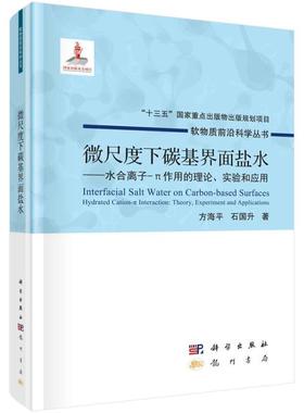 微尺度下碳基界面盐水:水合离子-π作用的理论、实验和应用:hydrated cation-π interactio书方水合离子研究普通大众自然科学书籍