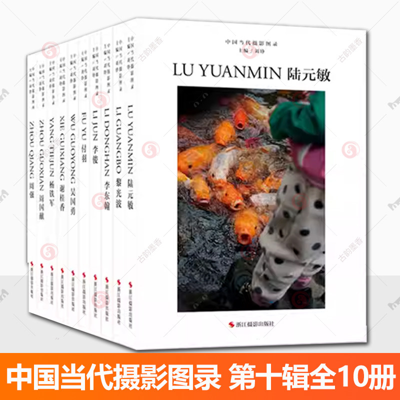 中国当代摄影图录第十辑10册 刘铮著当代摄影大师成名作高清作品集纪实摄影照片解析摄影书籍摄影画册精装图鉴 摄影艺术鉴赏品鉴
