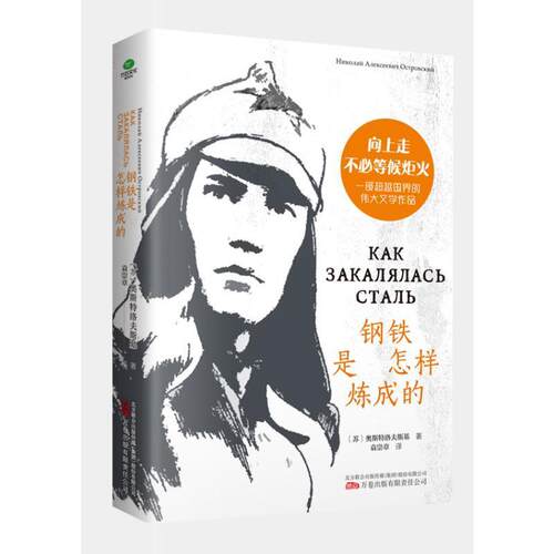 钢铁是怎样炼成的奥斯特洛夫斯基 文学书籍