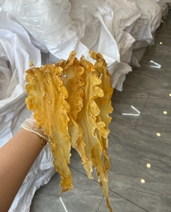 10头35头鳕鱼胶鱼胶鱼肚黄花胶煲汤海产干货