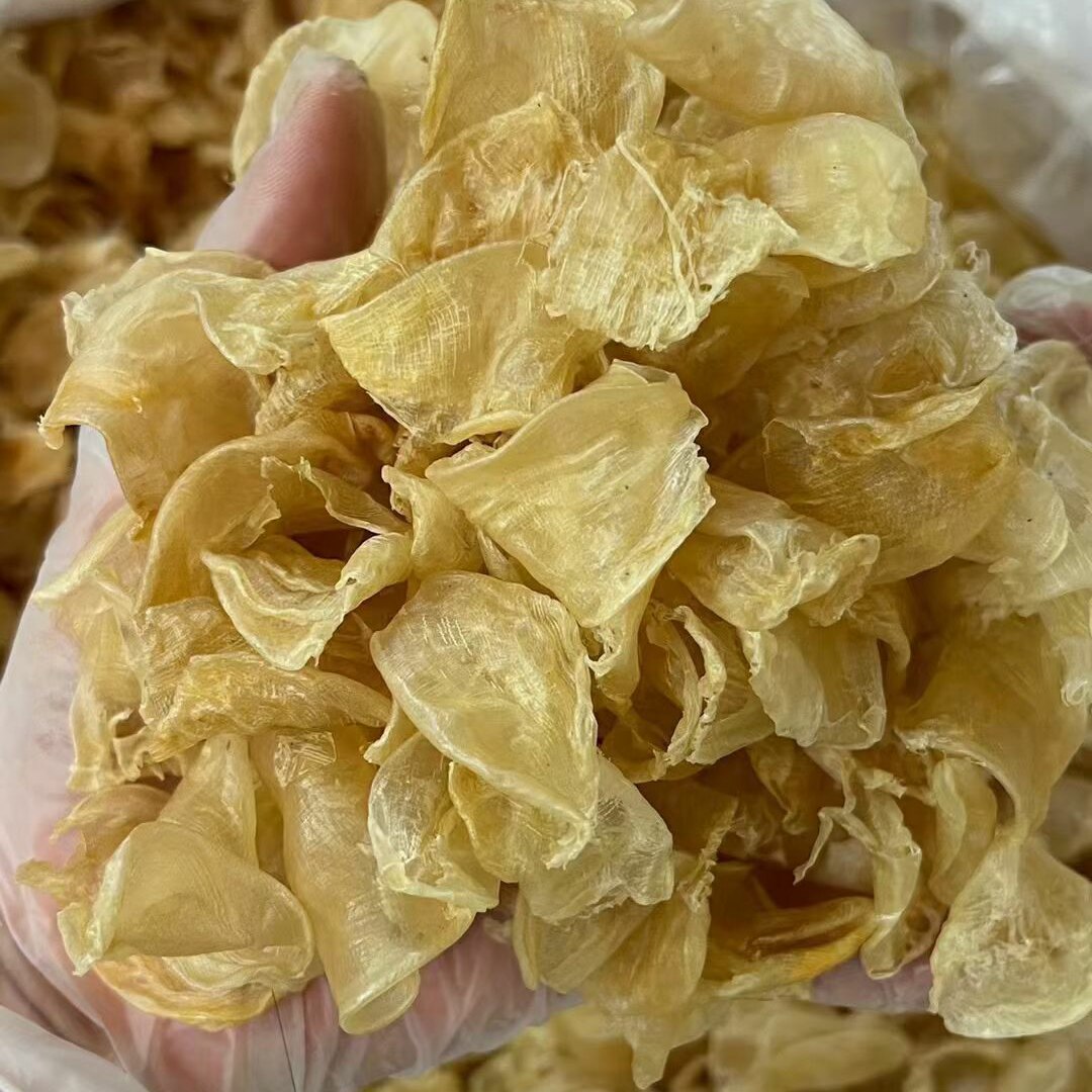 鸡蛋鱼胶小米花胶干货深海鱼肚鱼膘炖奶冻煲汤料500g