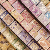 无界蝶谱烫金手帐胶带复古蝴蝶邮票英文盐系手帐拼贴装 饰素材贴纸