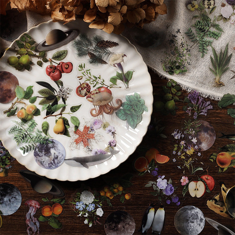 山海图鉴PET手账贴纸复古动物植物花朵星球手帐拼贴装饰素材贴画