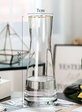 大号欧式简约玻璃花瓶北欧ins风摆件家居装饰客厅花瓶感水养
