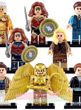 适用乐高DC超级英雄积木人仔WM6100神奇女侠系列小颗粒拼装玩具