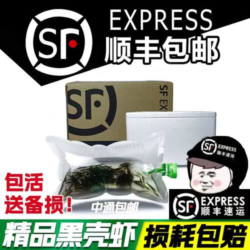 河虾草虾工具虾顺丰包邮除藻虾