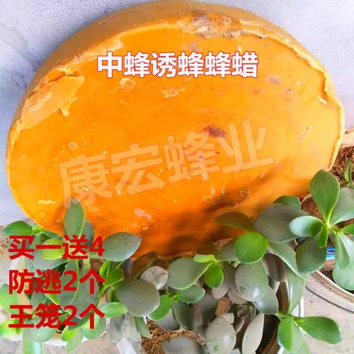 纯中蜂蜡，意蜂蜂蜡，中蜂诱蜂蜂蜡，各种诱蜂防护用具。