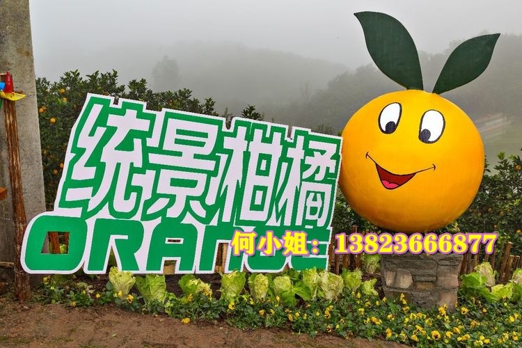 笑脸表情胡柚娃娃形象玻璃钢橘子柑橘蜜桔雕塑卡通人物公仔吉祥物