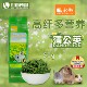 Jolly祖莉蒲公英草50g清热助解暑仓鼠兔子饲料龙猫粮食豚鼠荷兰猪
