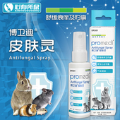 兔博士真菌消喷剂博卫迪皮肤灵抵抗真菌舒缓痕痒及痛楚温和不刺鼻